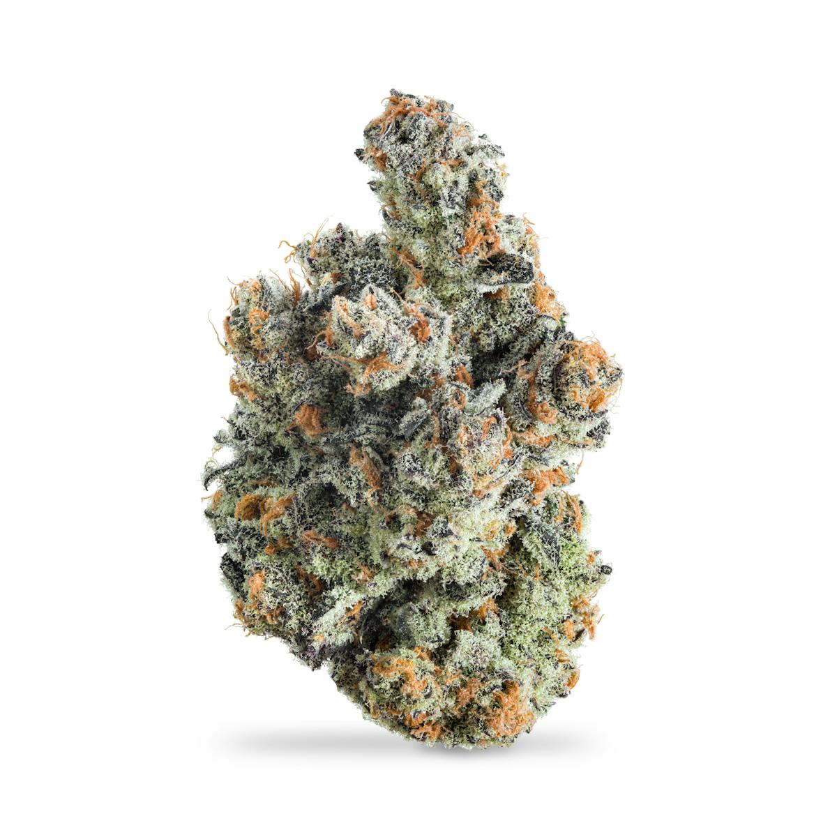 Photo of Van Helsing x Sundae Driver