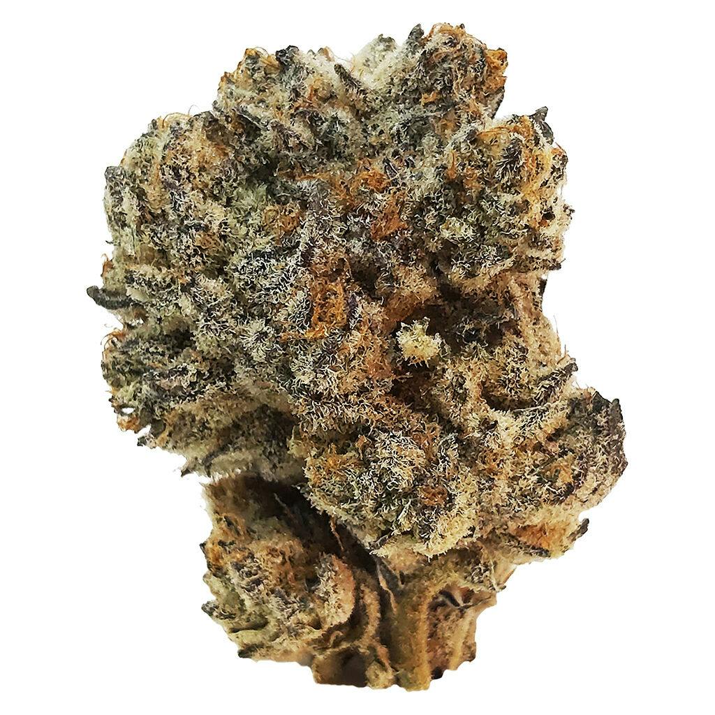 Dom jackson - truffle butter