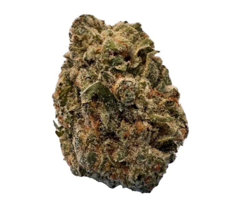 Versus - BC Purple Kush 28g >I