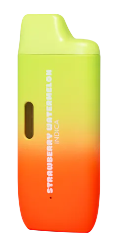 Strawberry Watermelon | Disposable Pen | 2g-active