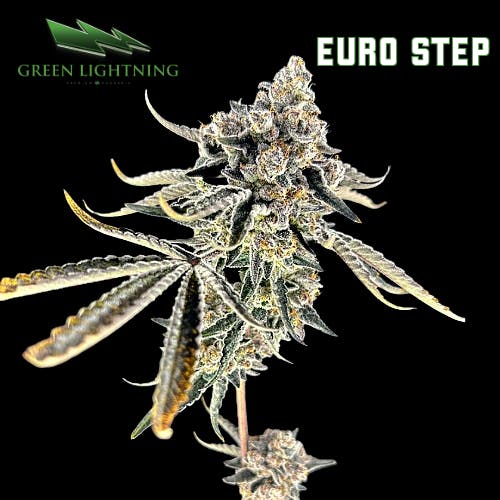 Green Lightning Euro Step