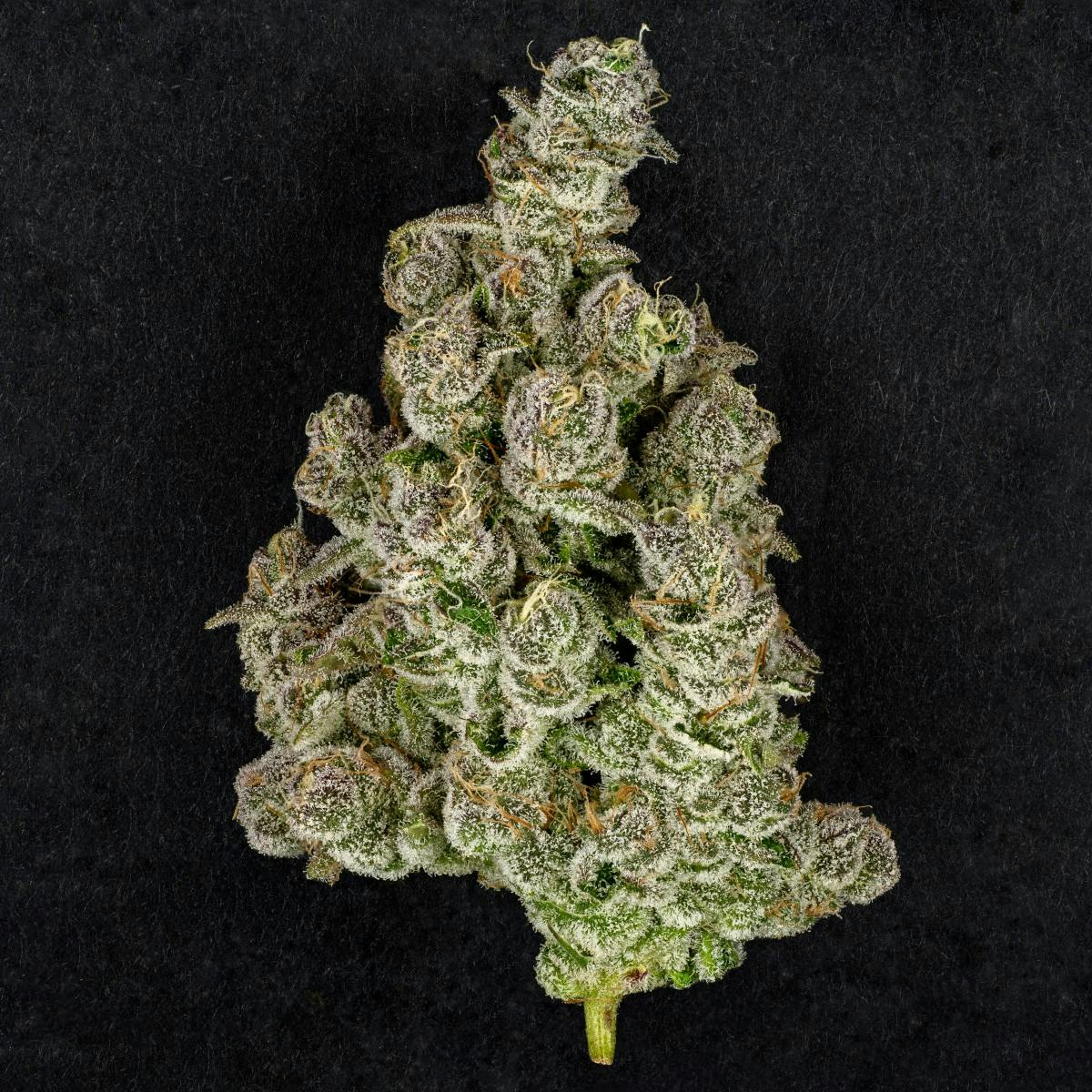 Product Dog 2.0 | Flower | 3.5g