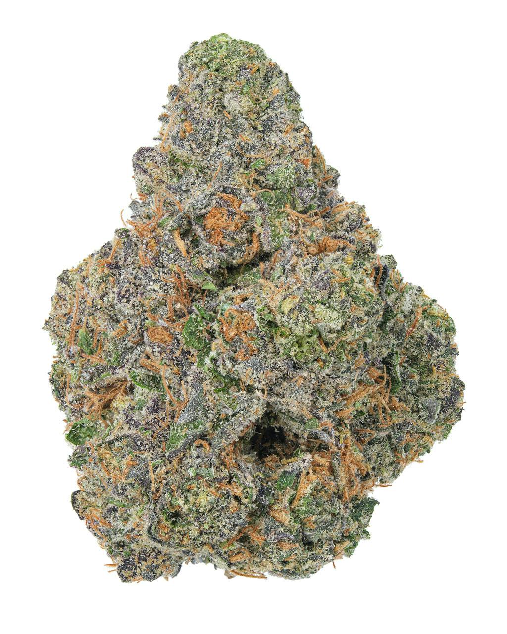 Buy Peninsula Gardens Plan Z X Blumosa 1.6g Hand Rolled