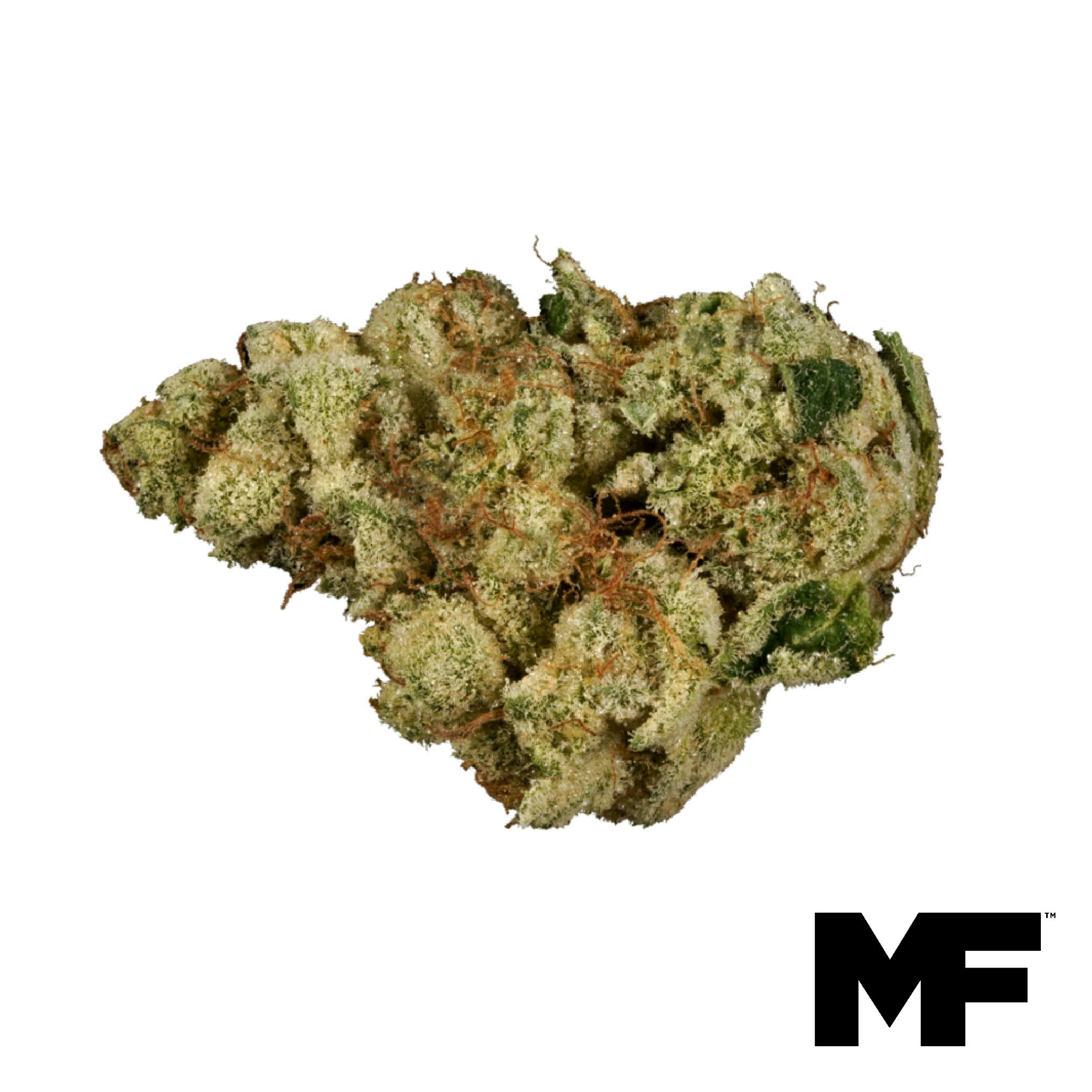 Singapore Sling #9 Flower