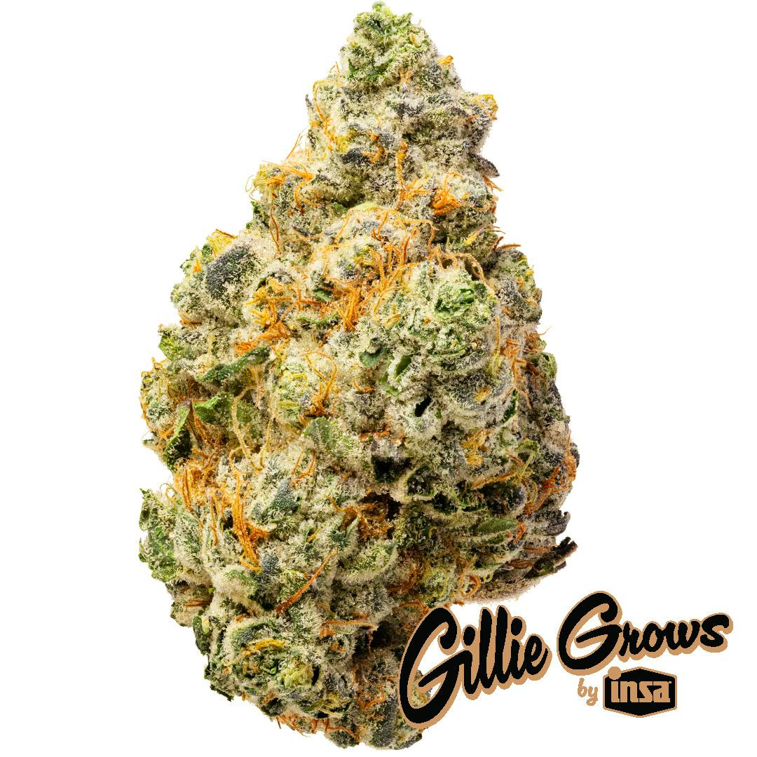 Mule Kick Flower