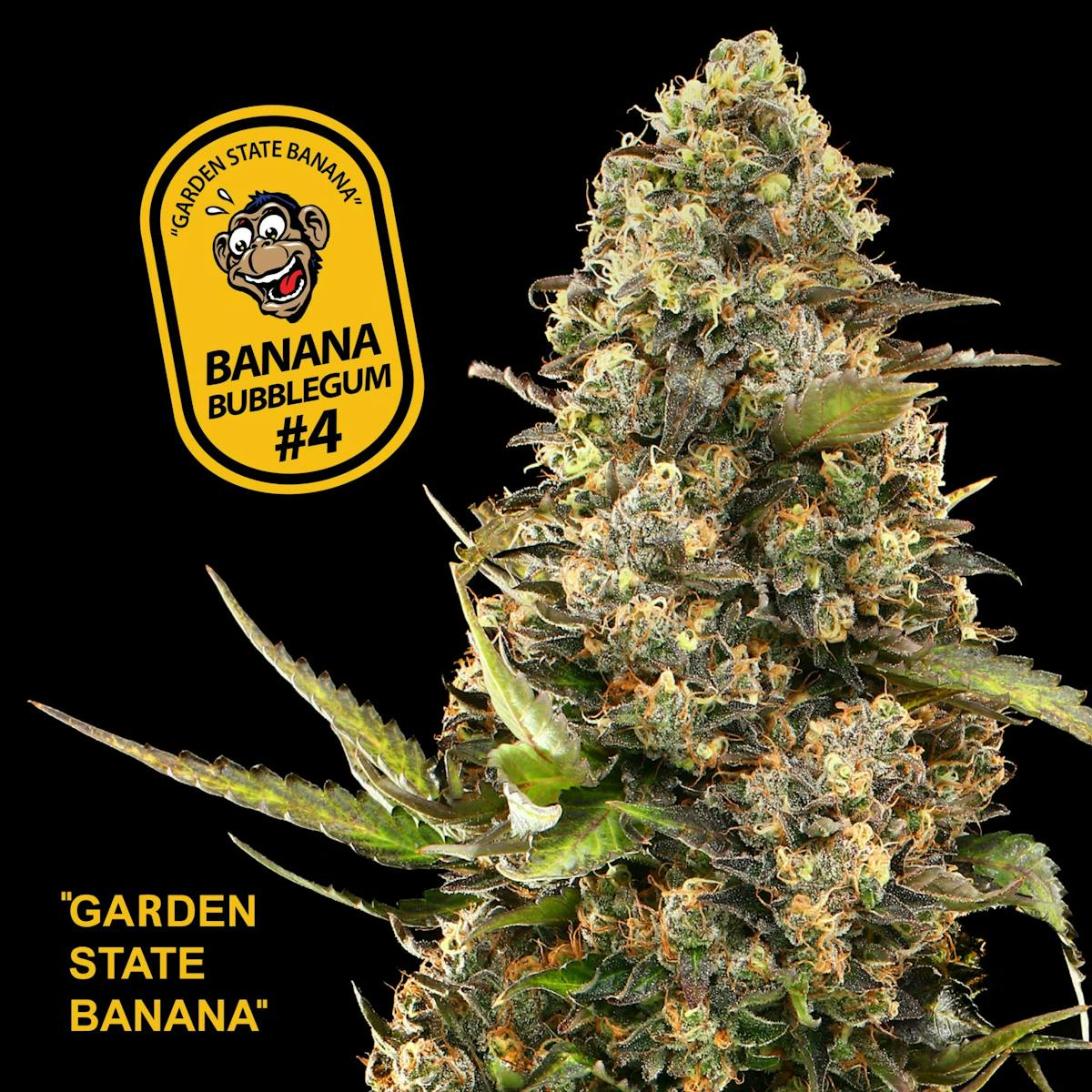 Photo of Garden Greens Bubblegum #4