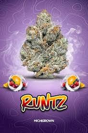 DELI - Michigrown - Runtz