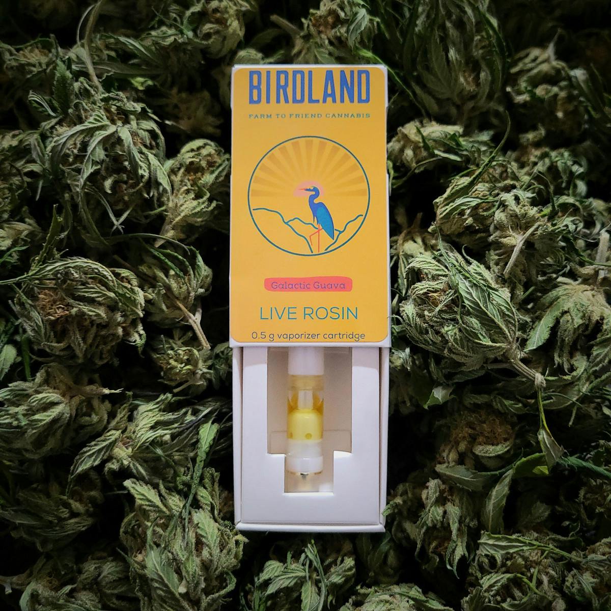 image of G-Nut | Live Rosin Cart
