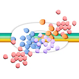 Orals category image