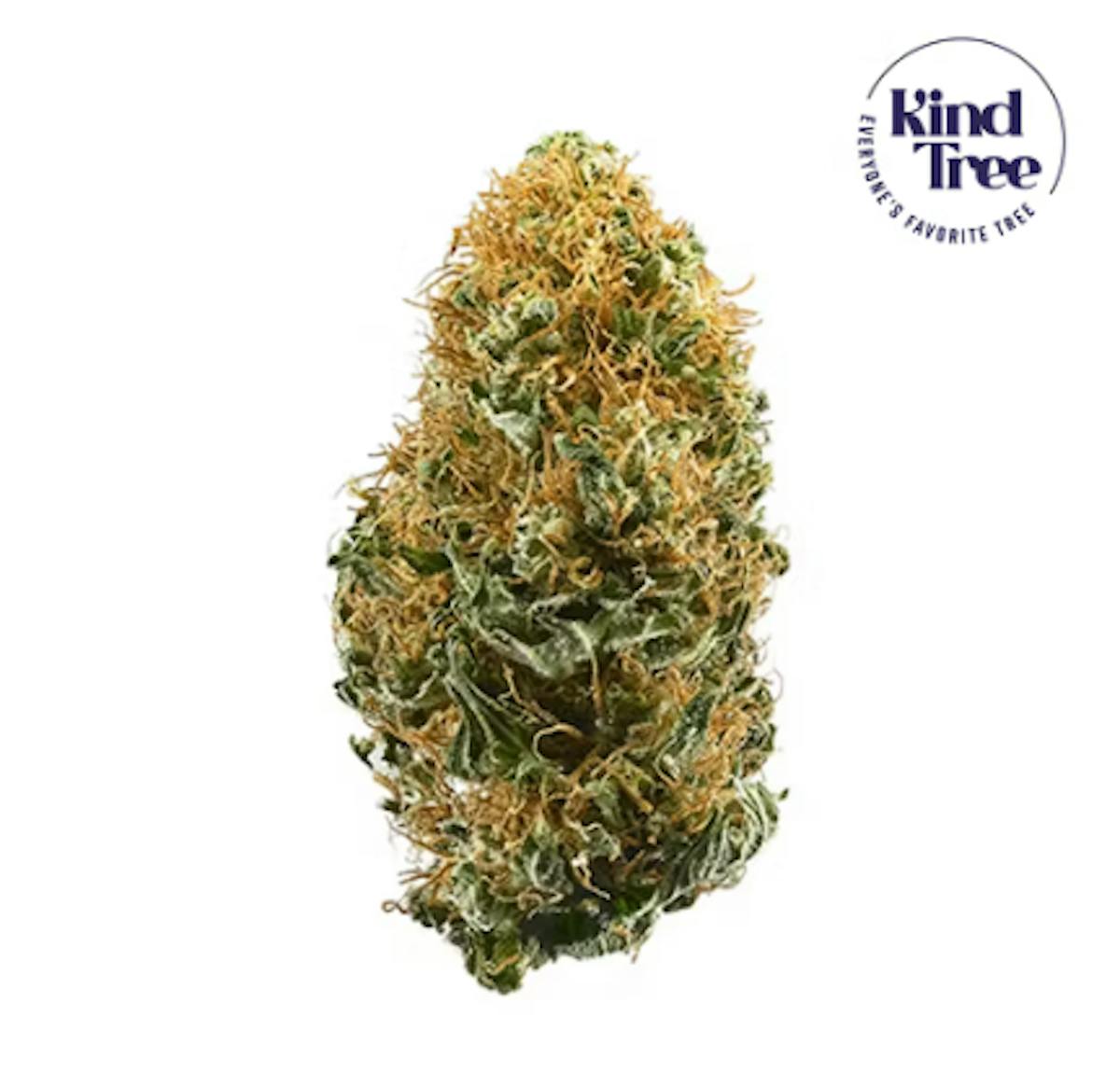 Photo of KT Shady Lady 3.5g