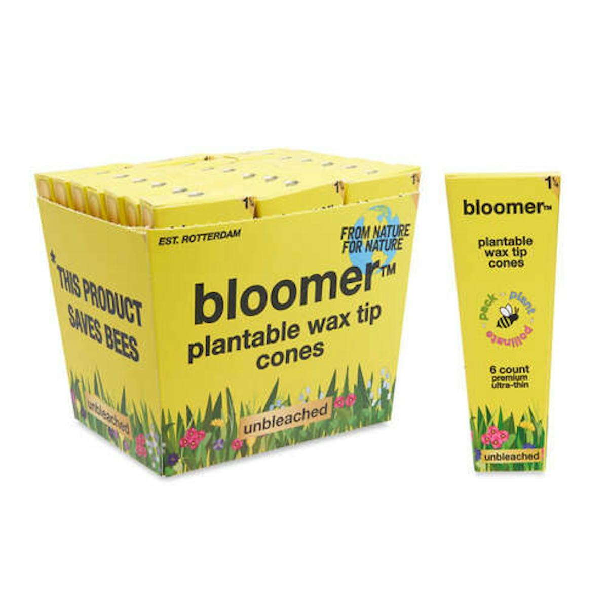 Image of Bloomer Wild Flower Paper Cones