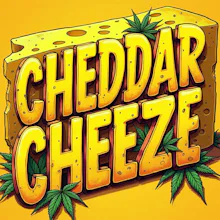DELI - Cheddar Cheeze (Smalls)