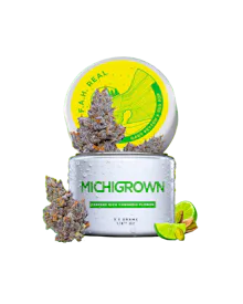 Michigrown - 14g Prepack Jar - F.A.H Real