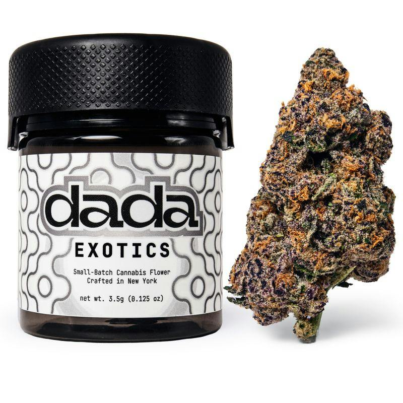 dada Exotics Bleu Suede Cookies