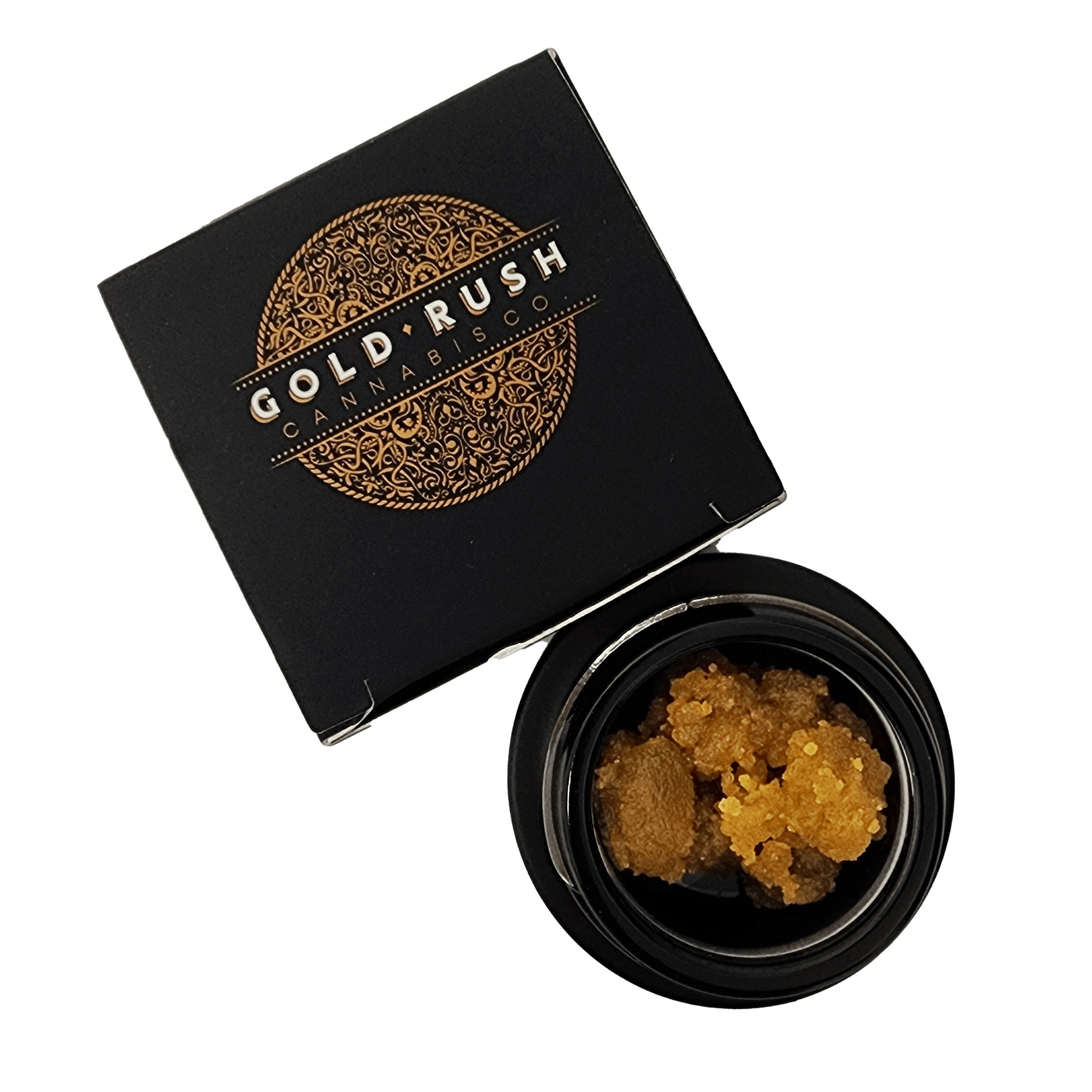 イチジク小苗　Gold Rush ㊿ Gold Rush | Goofiez Sugar | The Heights Cannabis