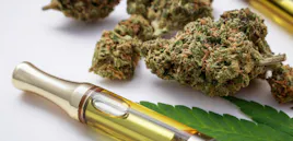 Vaporizers category image