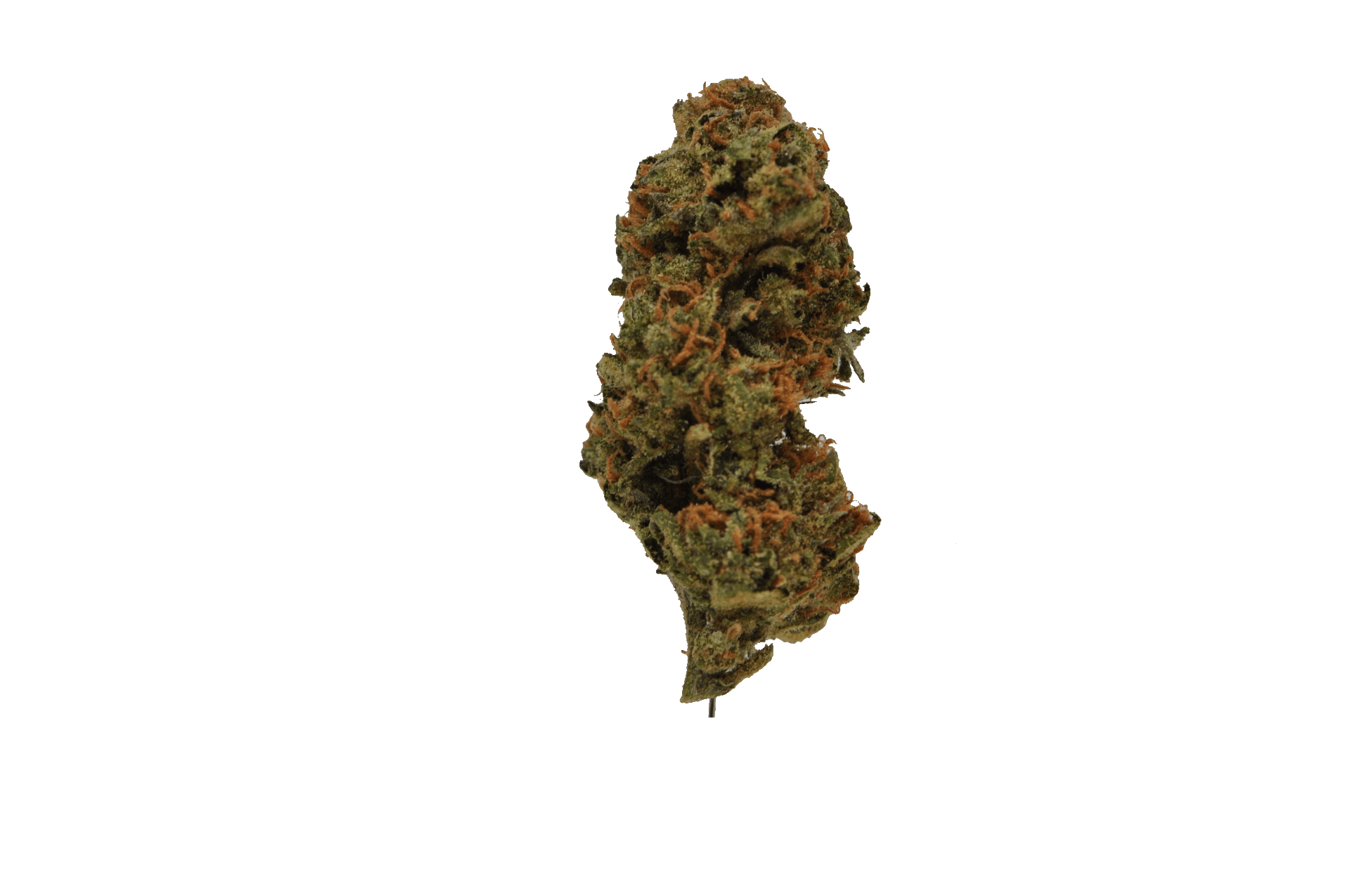 image of Ghost Breath | 3.5g Prepackaged Flower