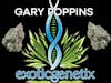 BOGO SELECT PREPACKED 8THS