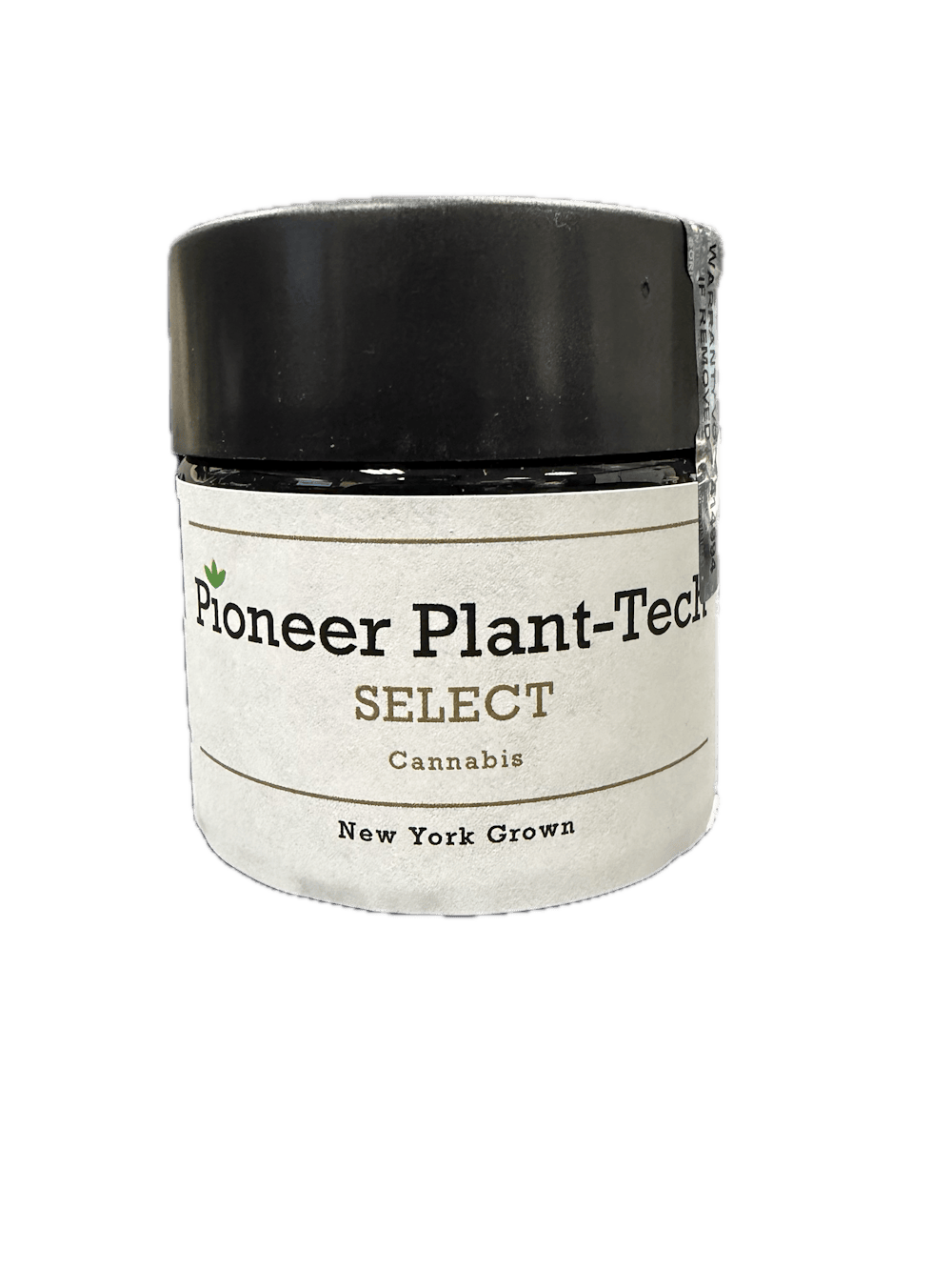 Product Fresh Cured Blueberry Muffin (H) Pioneer Plant-tech