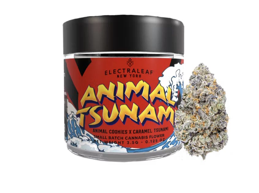 ElectraLeaf | Animal Tsunami | 3.5G Flower Jar-0