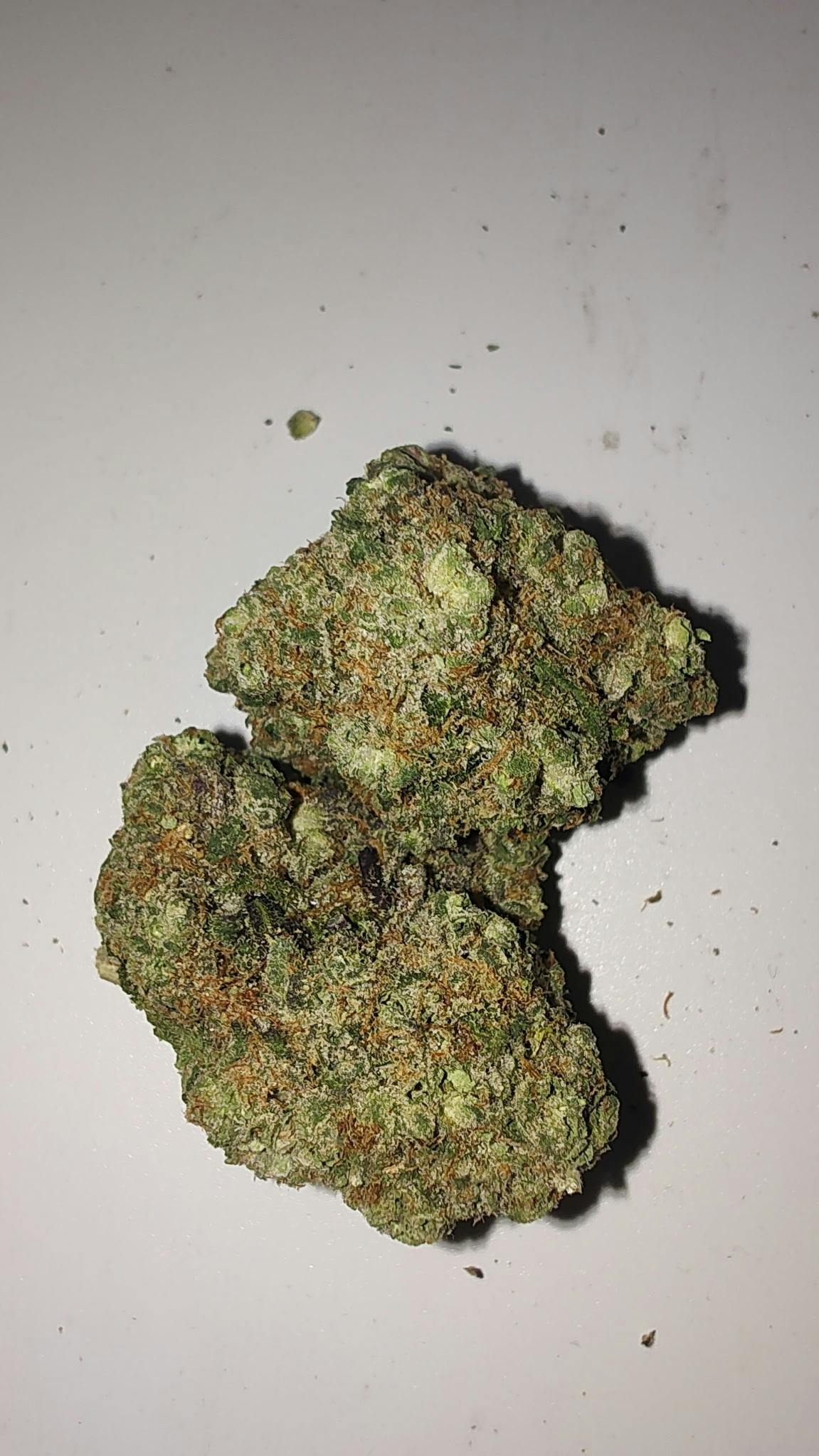 Forest Brothers | Shake - 28g - Bathing Ape