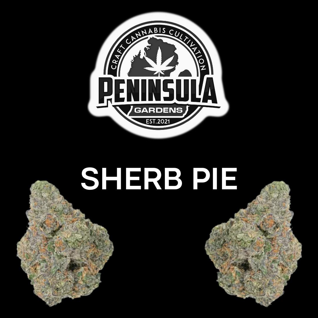 PENINSULA GARDENS | SHERB PIE | BULK | HYBRID