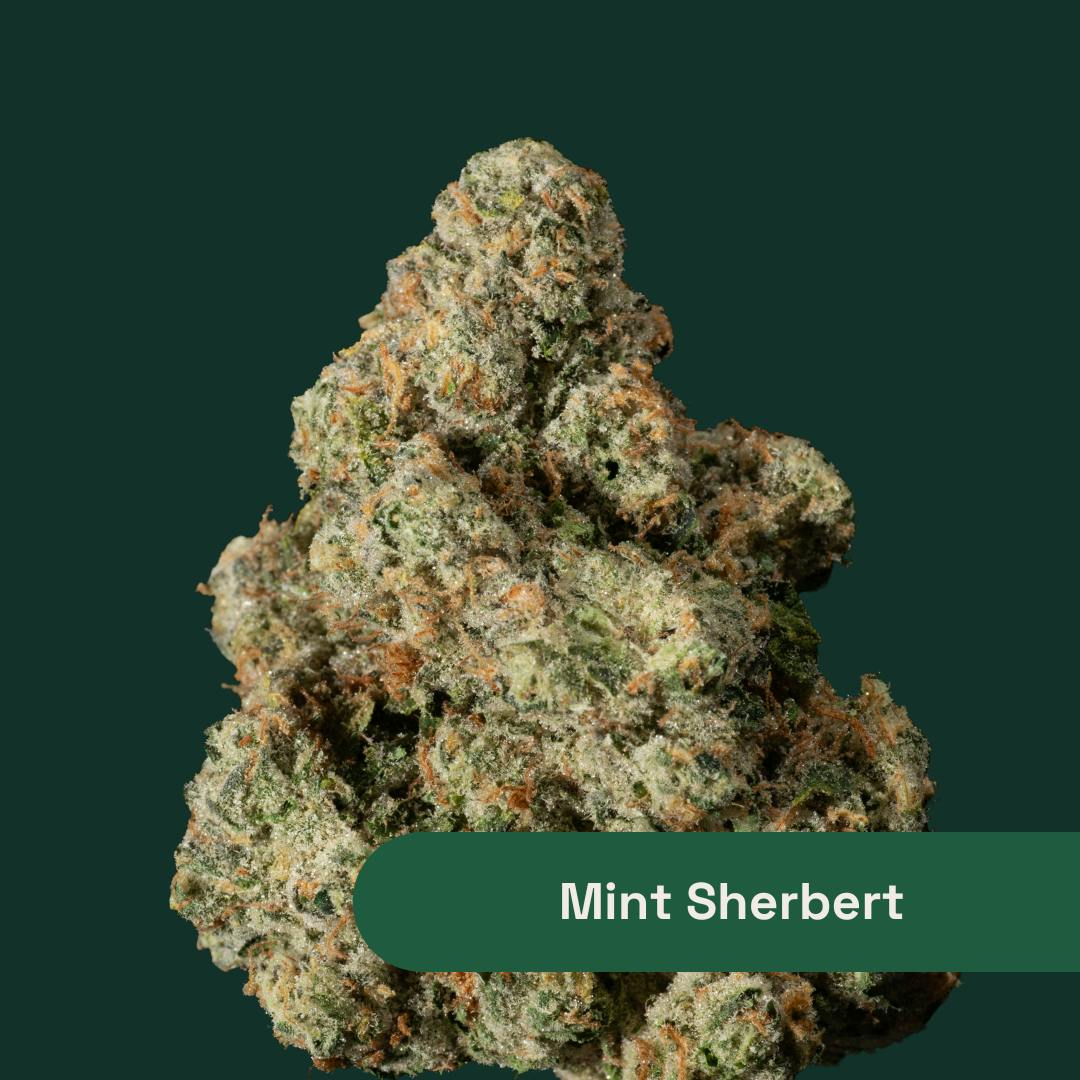 Image of Mint Sherbert - Whole Flower product