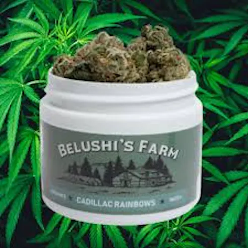 Belushis Farm | Cadillac Rainbows-active