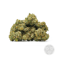 Product Gas Leak | Deli Style