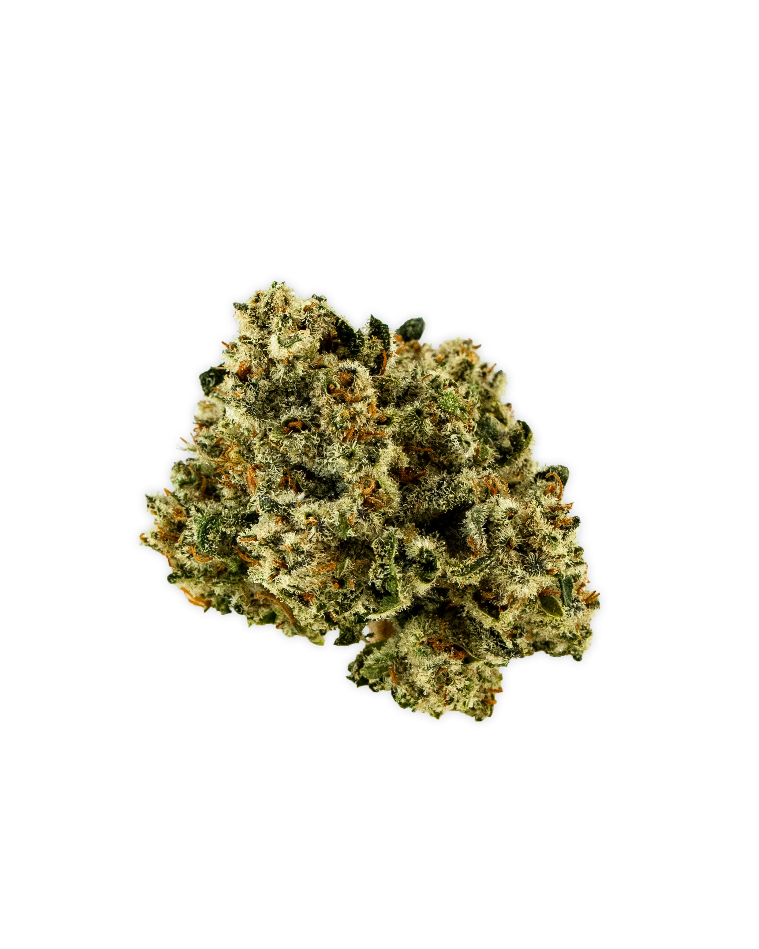 Shop ElectraLeaf ALIEN OG in New York | Gotham NYC Dispensary