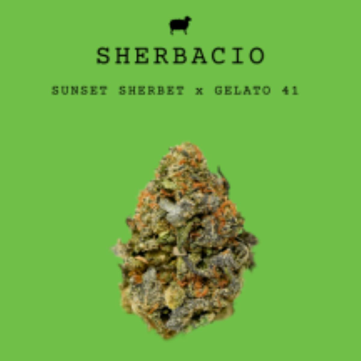 Photo of Sherbacio Small Buds