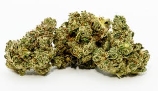 Apollo | Smalls | Six Labs