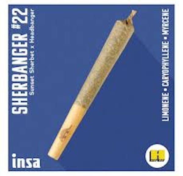 Sherbanger #22 (H) - 0.5g Pre Roll - INSA