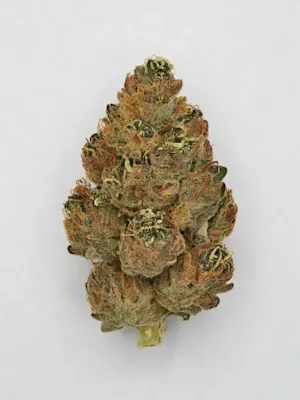 Bud Bar • Aura Canna Co. • Medical & Adult-Use Dispensary in RI and MA