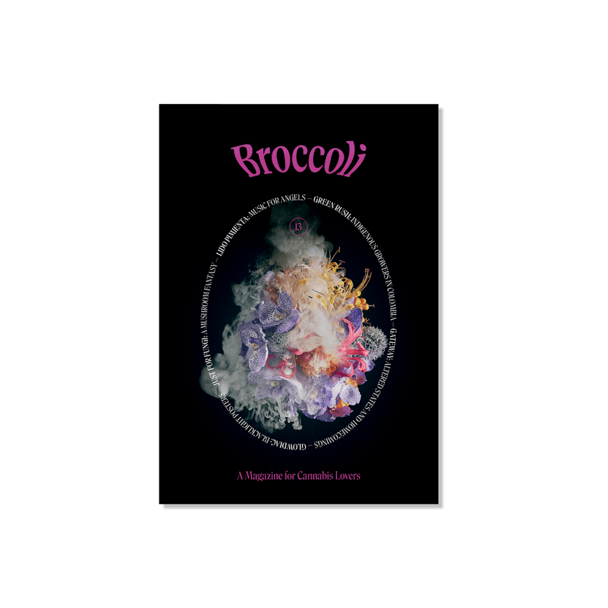 Image of Broccoli Magazine Issue 13
