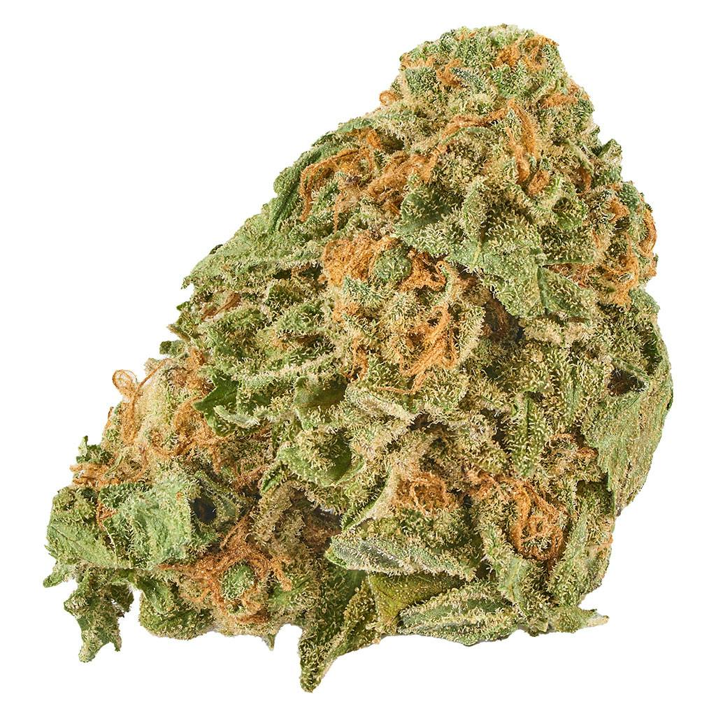 Grand daddy purps (mendo purp x skunk x afghan)