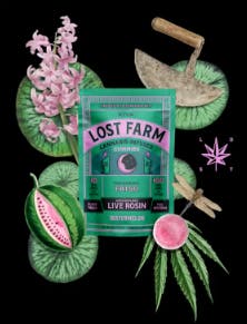 Product Live Rosin Gummies | Watermelon x Fatso (H) | Lost farms