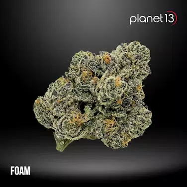Cannabis Flower | Planet 13 Jacksonville