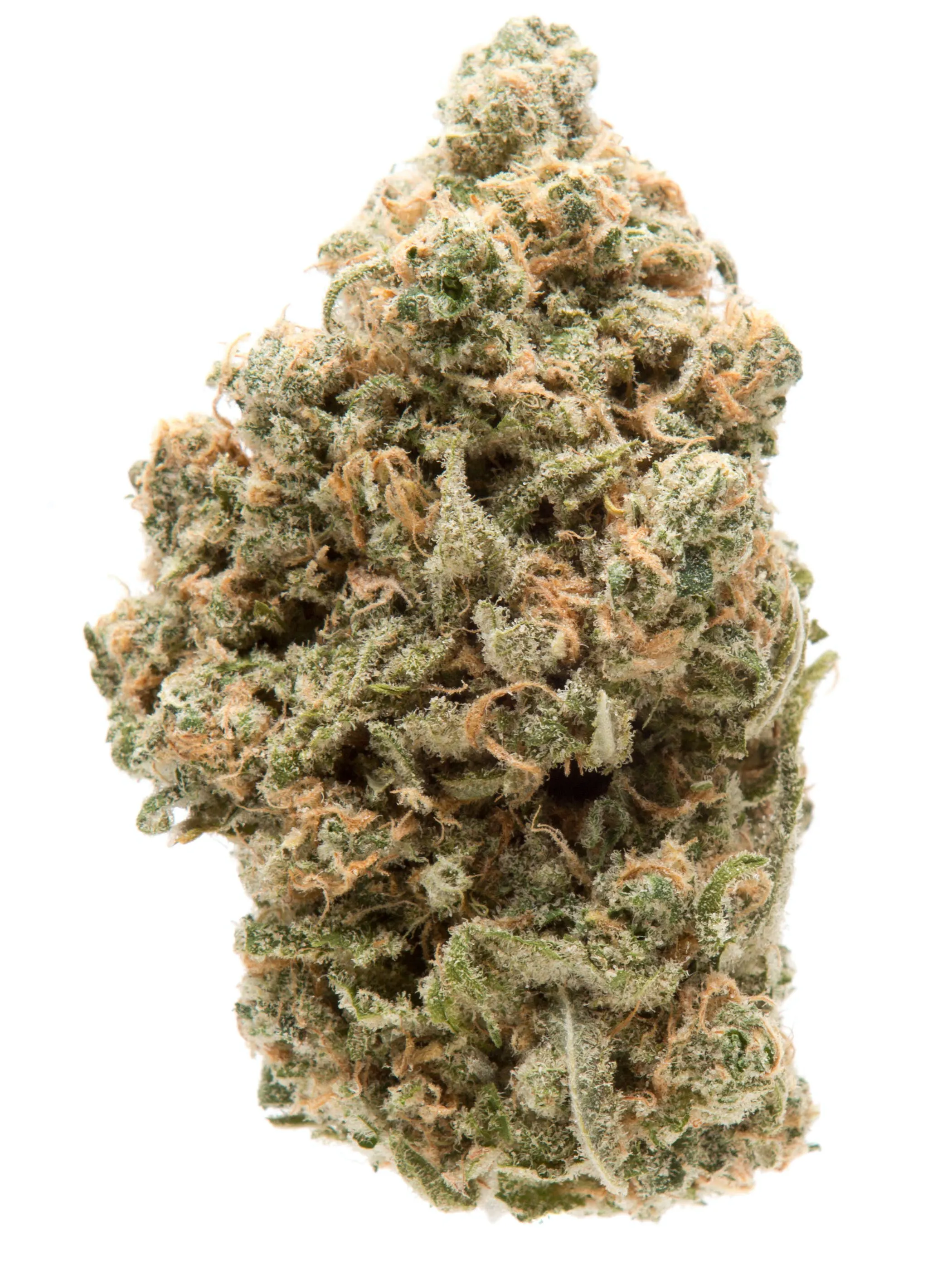 Wedding Cake x OG Kush | Silver Therapeutics (Berwick)
