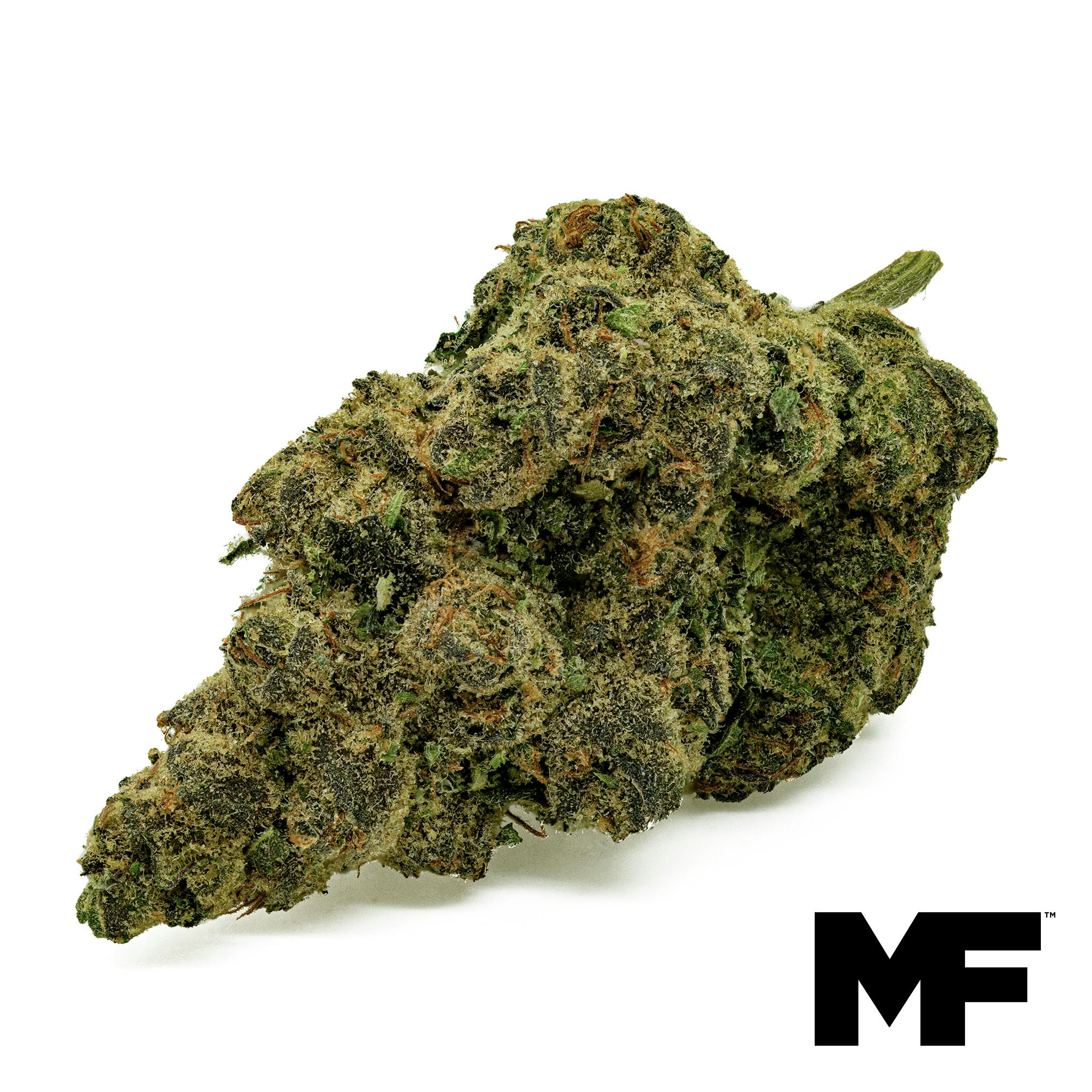 Funk Mountain Flower