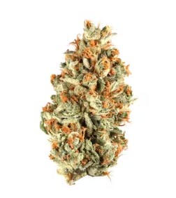 Product: GNG | Orange Velvet Underground | Preroll - 1g