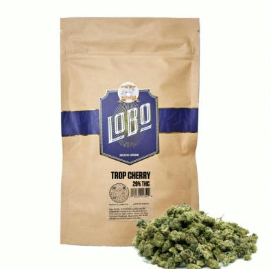Oreoz | Flower | 28g by Lobo | Buy Online | Treehouse Cannabis