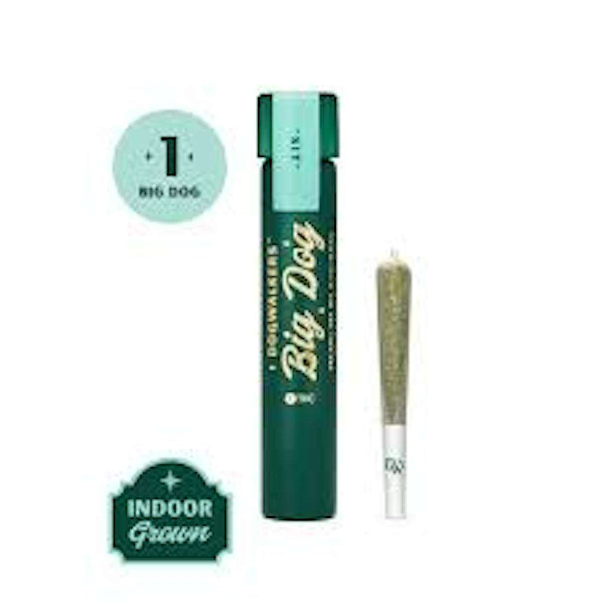 Photo of Dog Walkers Star Killer Big Dogs | Pre-Roll