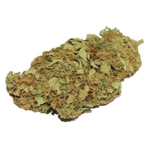 GATSBY CANNABIS CO. GATSBY CANNABIS CO. | SPACE APE | PRE-PACK INDICA/HYBRID — FLOWER