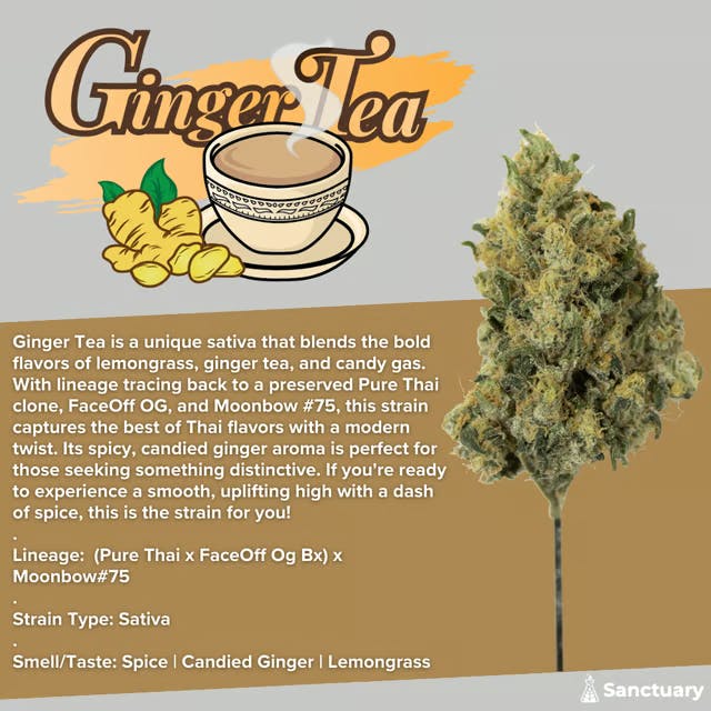 Sanctuary - Flower 3.5g - Ginger Tea
