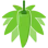 dispensary logo