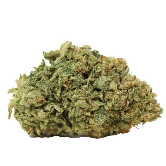 BHL | Bulk Bud - Lemon Tree
