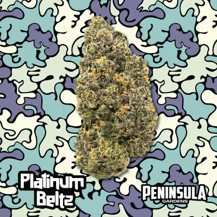 DELI - Peninsula Gardens - Platinum Beltz