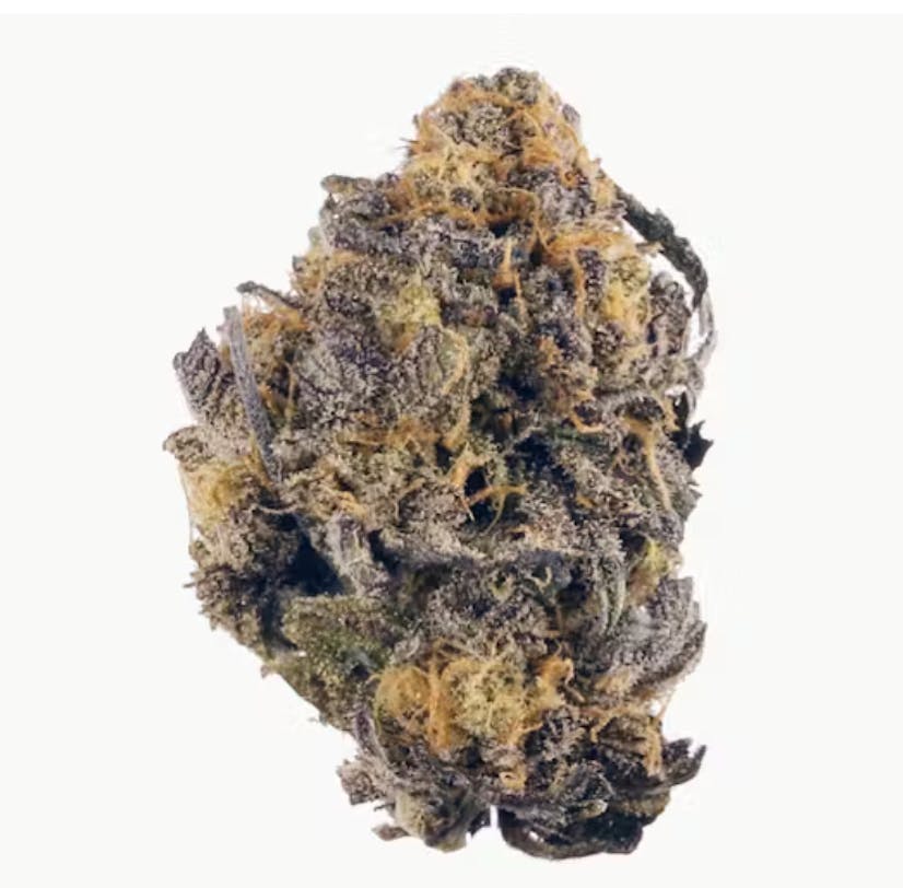 Grocery - Ice Cream Cake by Grocery