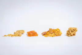 Concentrates category image